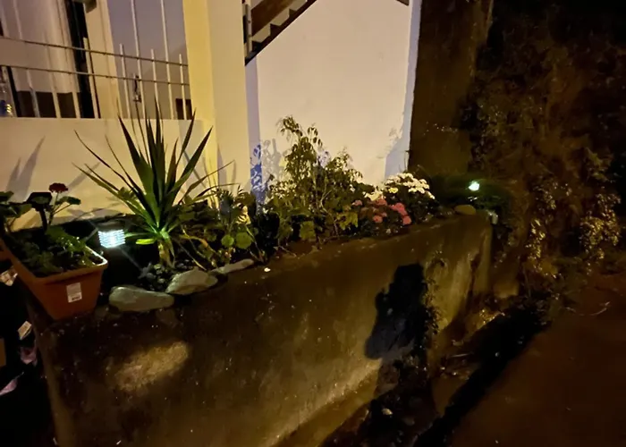 Apartman Revived Porto da Cruz